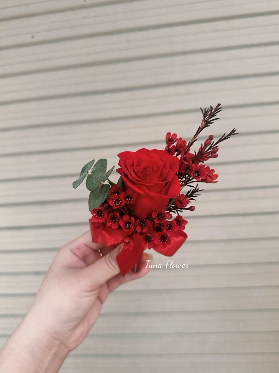 hoa tháng 12 và hoa tháng 1 tại Tuna Flower