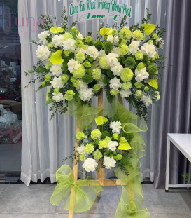 Hoa khai trương TX-09