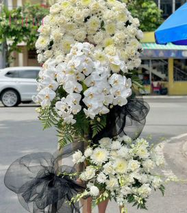 Hoa viếng 21