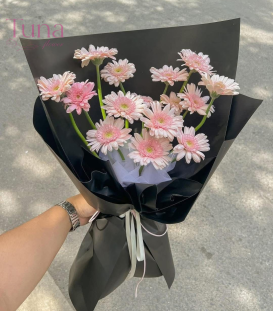 Bó hoa pink gerbera (15 cành)  01-79
