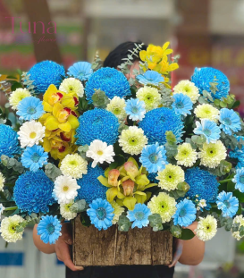 hoa chúc mừng XD-07