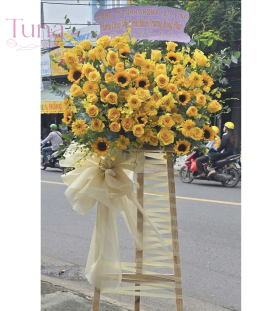Hoa chúc mừng TV-20