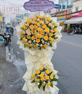 Hoa chúc mừng TV-22