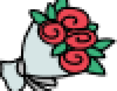 Hoa tươi mỗi ngày – đảm bảo chất lượng