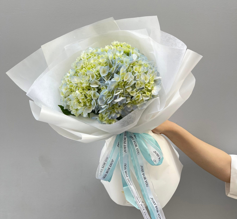 Hoa tú cầu đà lạt 01-03