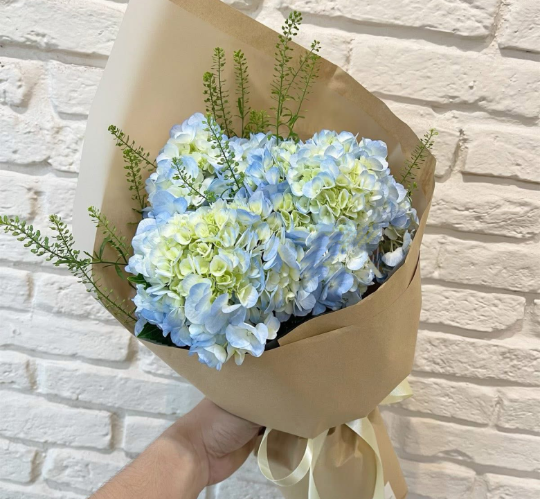 Hoa tú cầu đà lạt 01-05