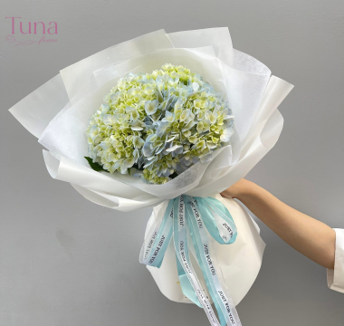 Hoa tú cầu đà lạt 01-03