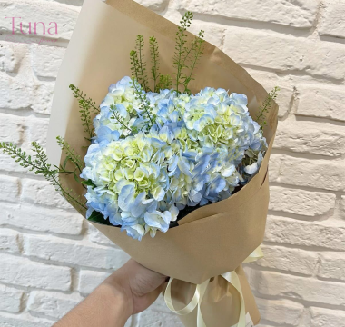 Hoa tú cầu đà lạt 01-05